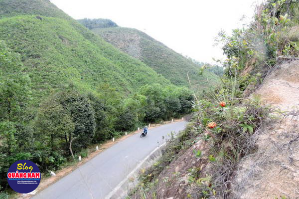  Càng lên gần Tây Giang, cung đồi đèo núi càng thêm gập ghềnh, khúc khuỷu - Ảnh: Thanh Ly